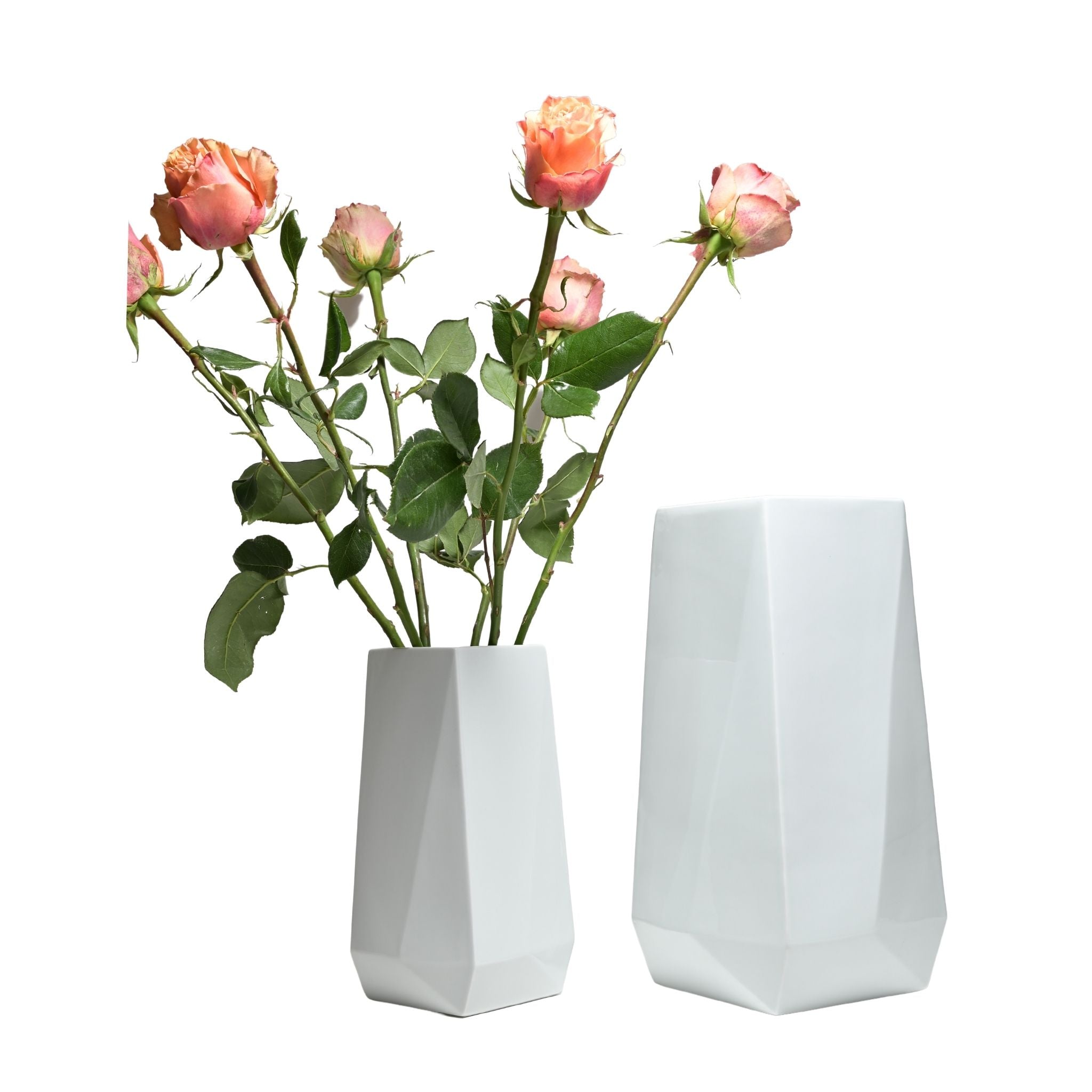 #variante_big,#farbe_Weiß